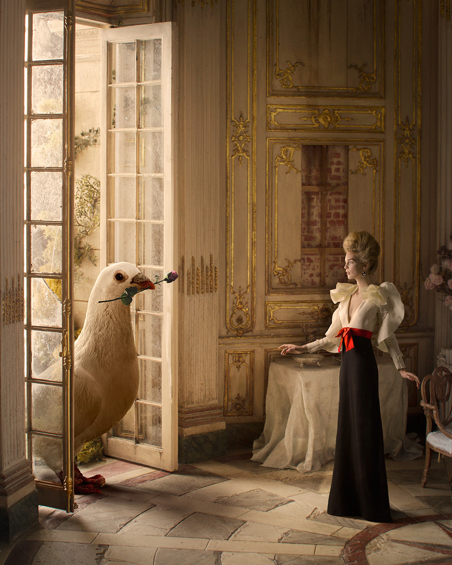 Beautiful fashion model wearing an elegant Gucci dress looks in surprise at a giant white dove entering the Baroque interior (by Mulvany & Rogers) from the garden through the tall French doors.