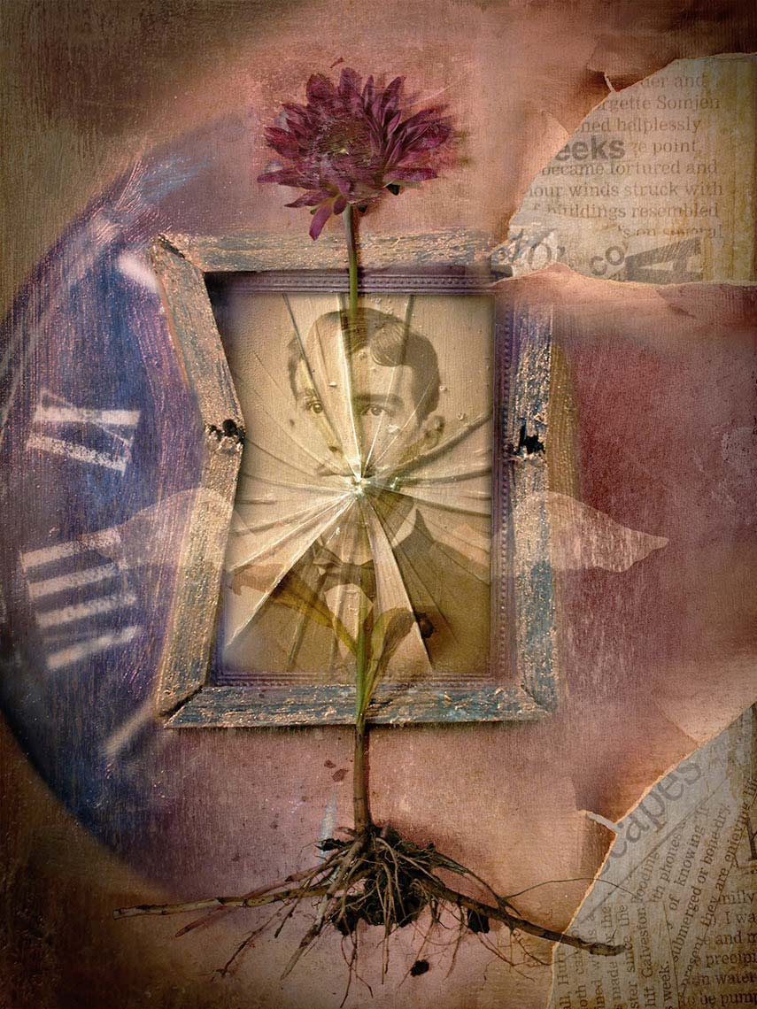 Moody assemblage with nineteenth century sepia portrait behind broken glass with a weathered, broken frame in the center, and bisected by an uprooted flower.