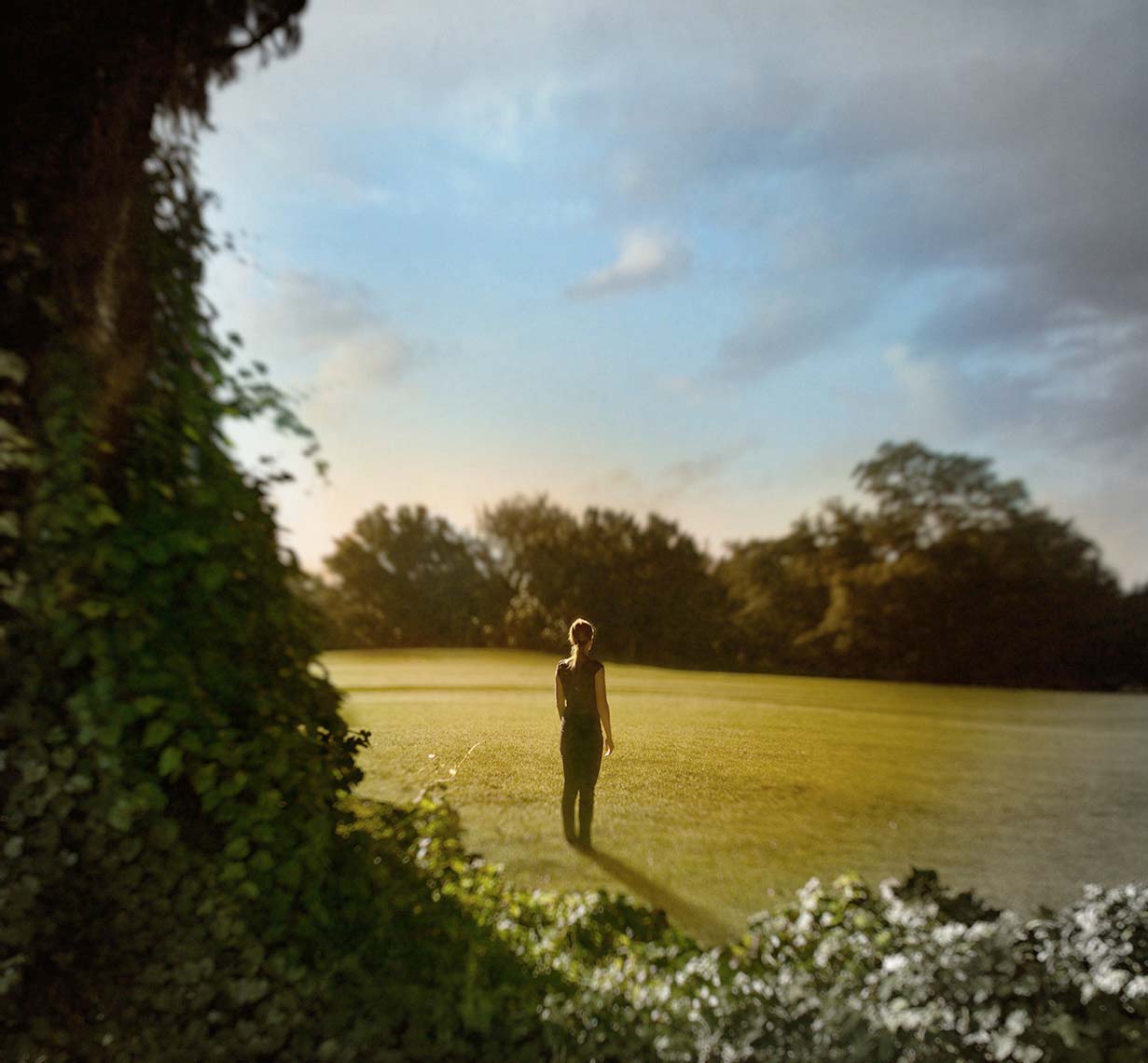 Trim young woman in slacks and short sleeves with ponytail, back to camera, standing in middle of large green lawn on sunny morning, framed by trees in front and behind hereverylast