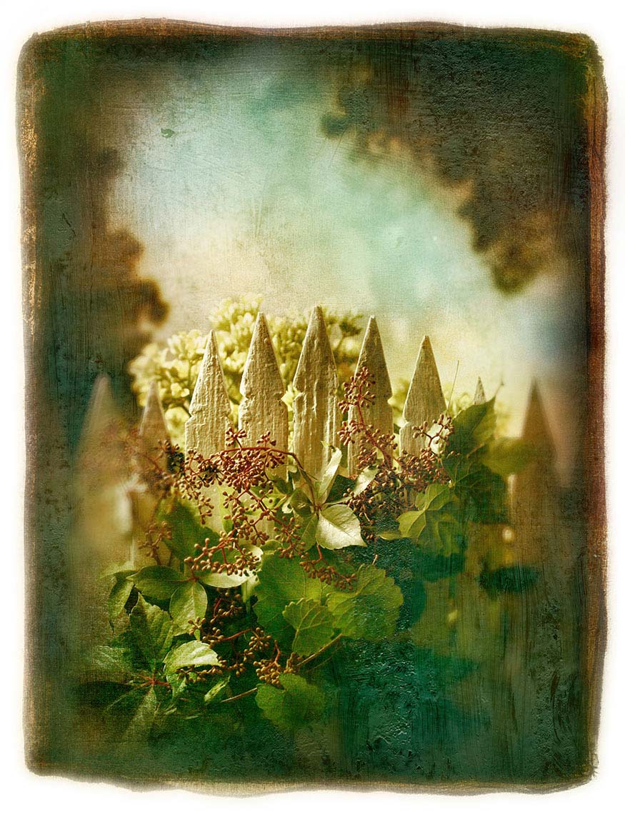 Still life of top of white picket fence covered with leaves and seedling buds against soft-focus painterly mottled background of sky and trees.