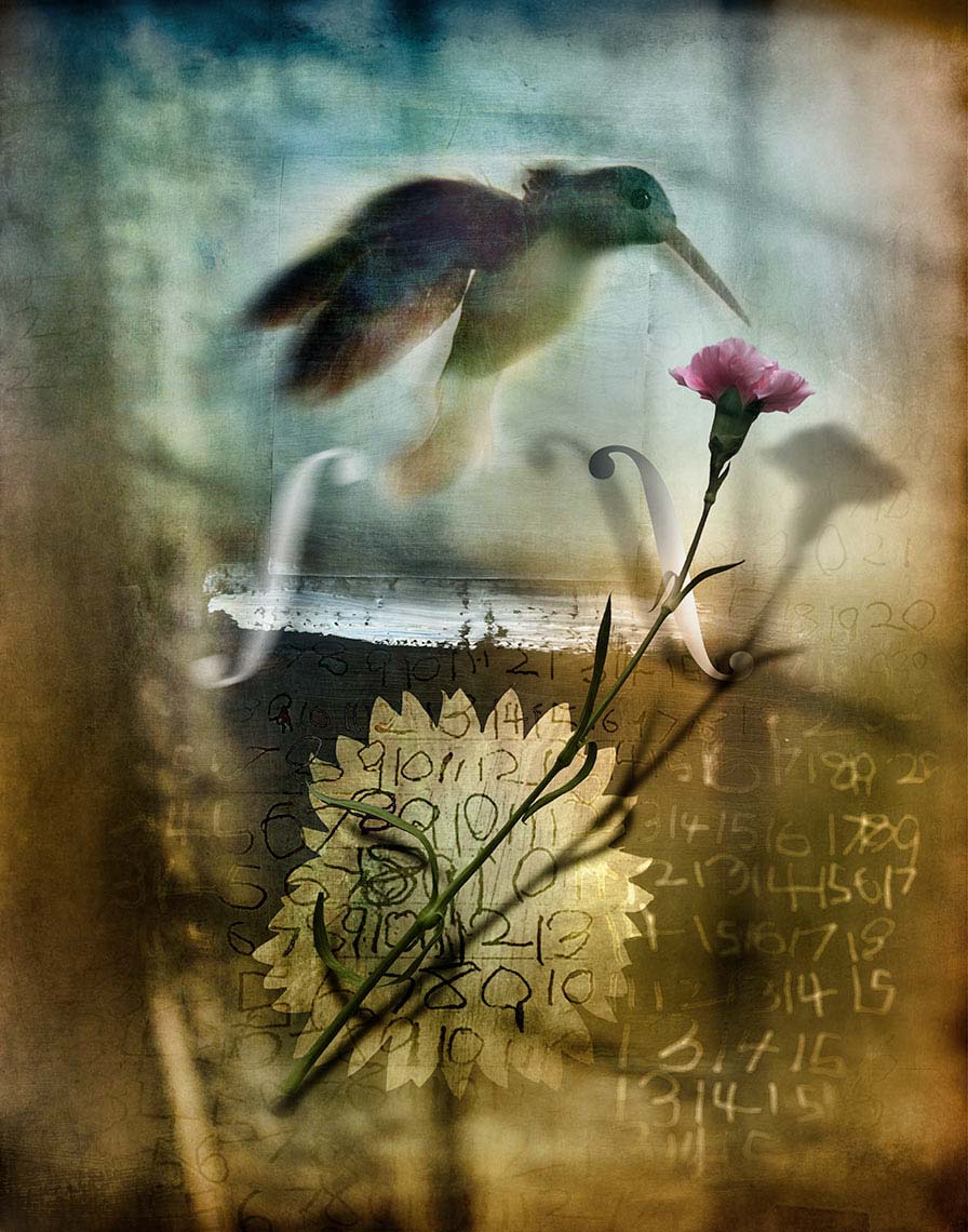 Still life montage of hummingbird hovering above floating flower, against a mottled, painted background with brush strokes and scrawled numerals, in muted blues and browns.