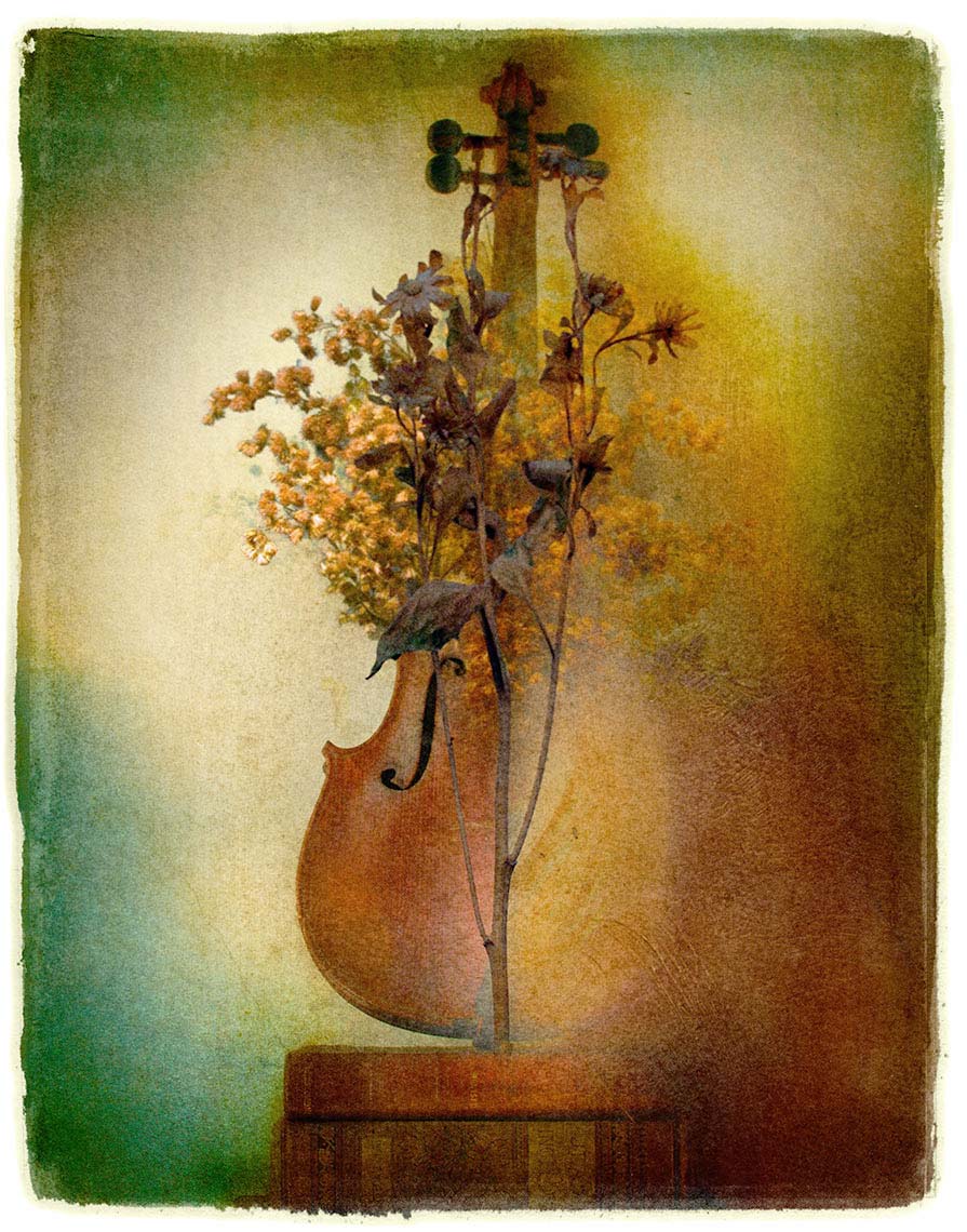Layered montage of violin, flowers, twigs, and books against a painterly modulated background of muted blues and browns.
