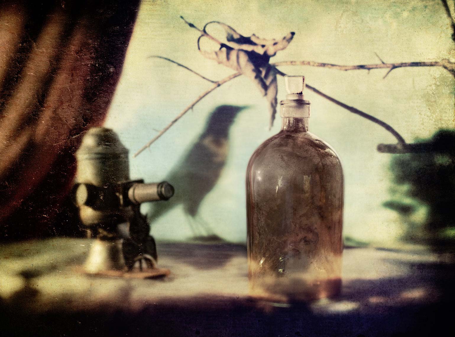 Still life of antique scientific object, vintage bottle, bird silhouette, drape and twig against soft-focus painterly mottled background